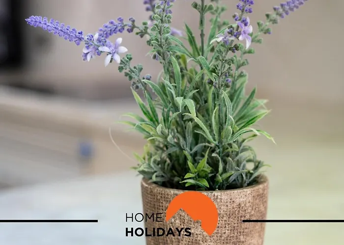 #174 2br Quiet Area * Albufeira