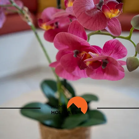 #174 T2 Em Zona Tranquila By Holidays Апартаменты Албуфейра