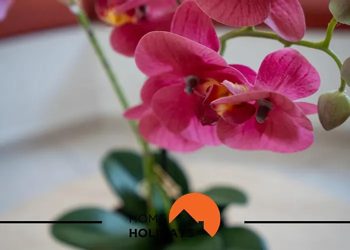 #174 T2 Em Zona Tranquila By Holidays 알부페이라